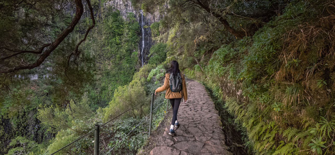Madeira lockert Corona-Maßnahmen: Neue Regeln für Reisende